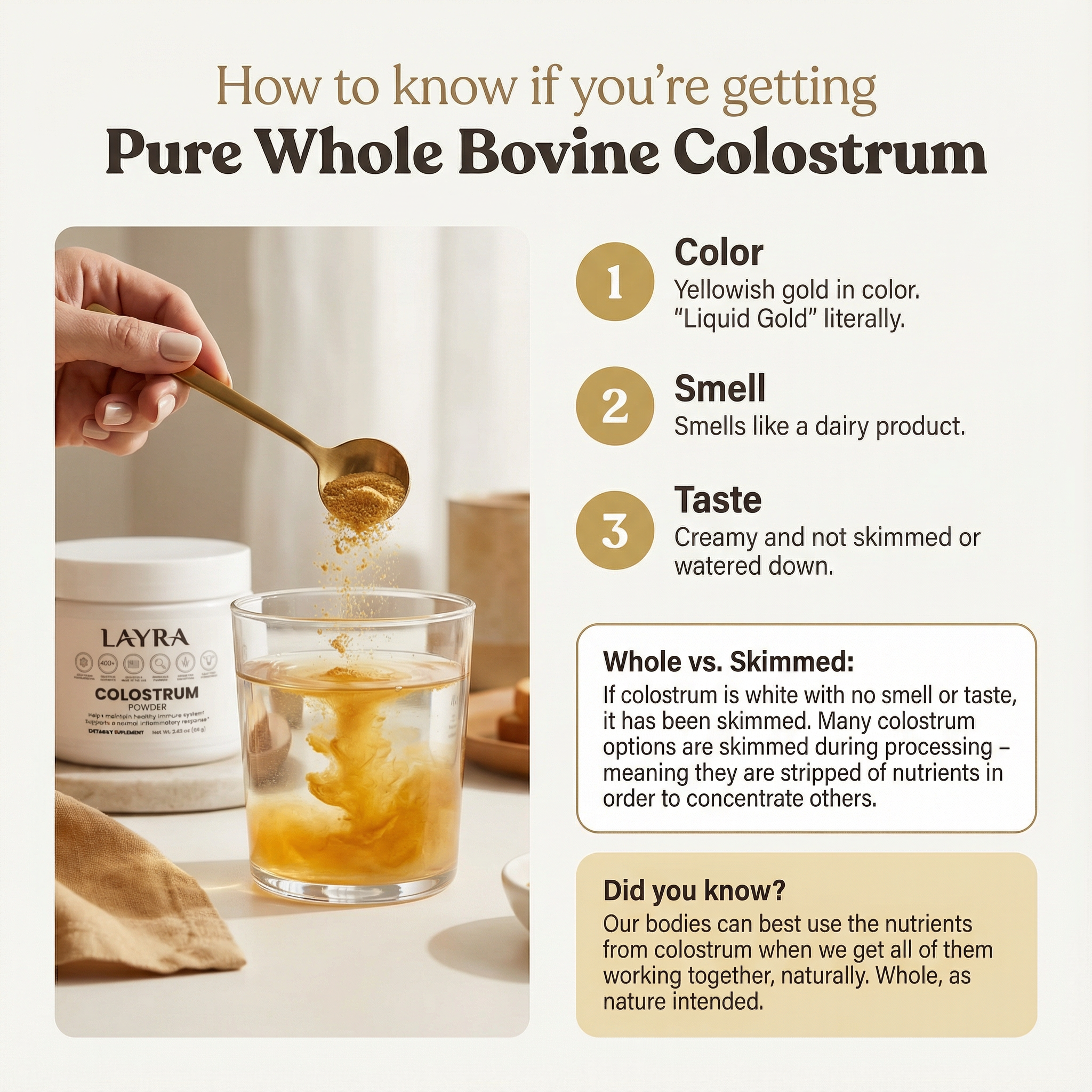 Colostrum Powder